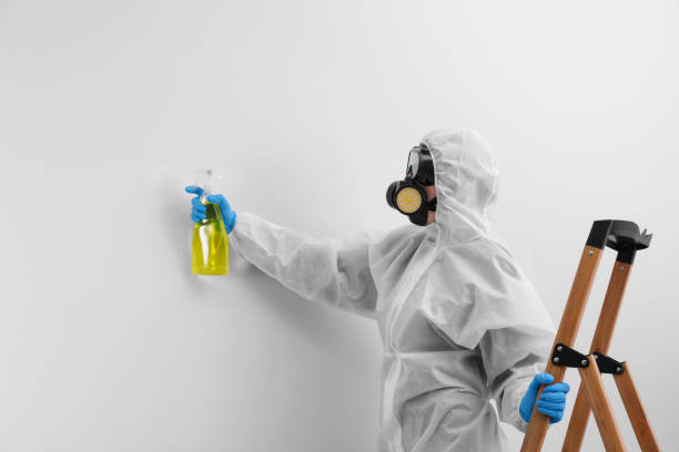 Mold Remediation for Rental Properties in Lancaster, PA